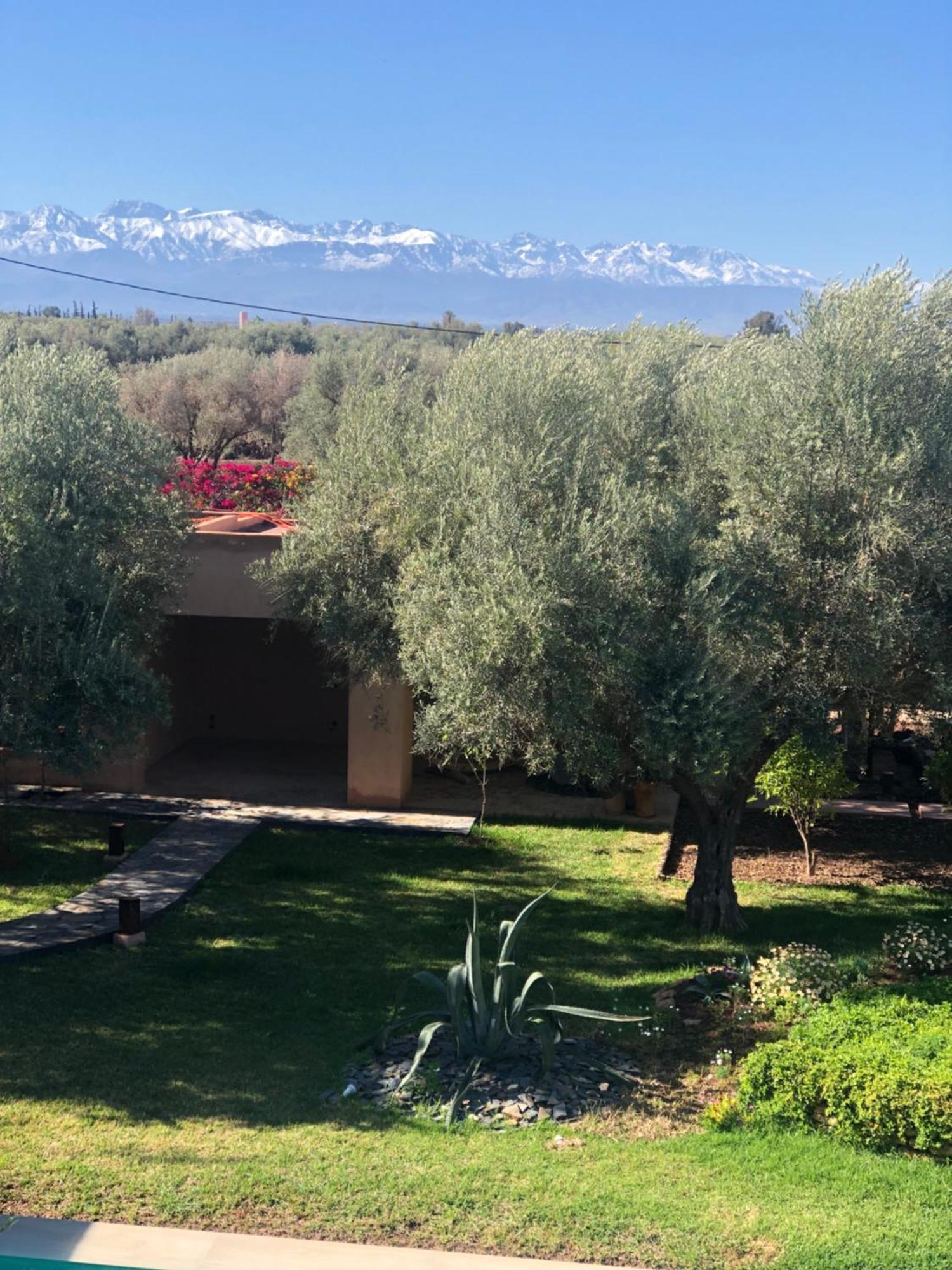 Jardin Sakina - Chambre D'Hotes Oulad Moumene Kültér fotó