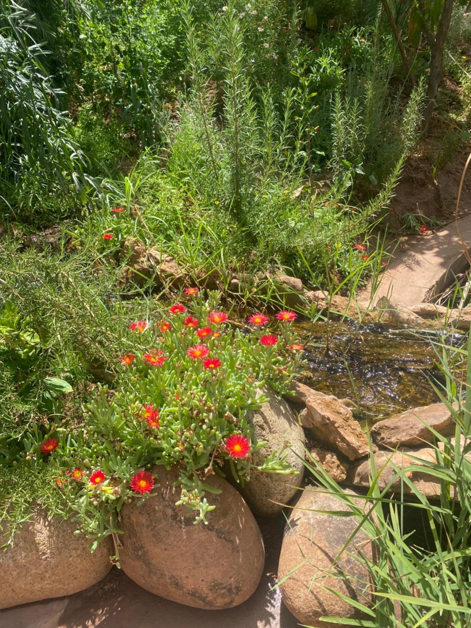 Jardin Sakina - Chambre D'Hotes Oulad Moumene Kültér fotó