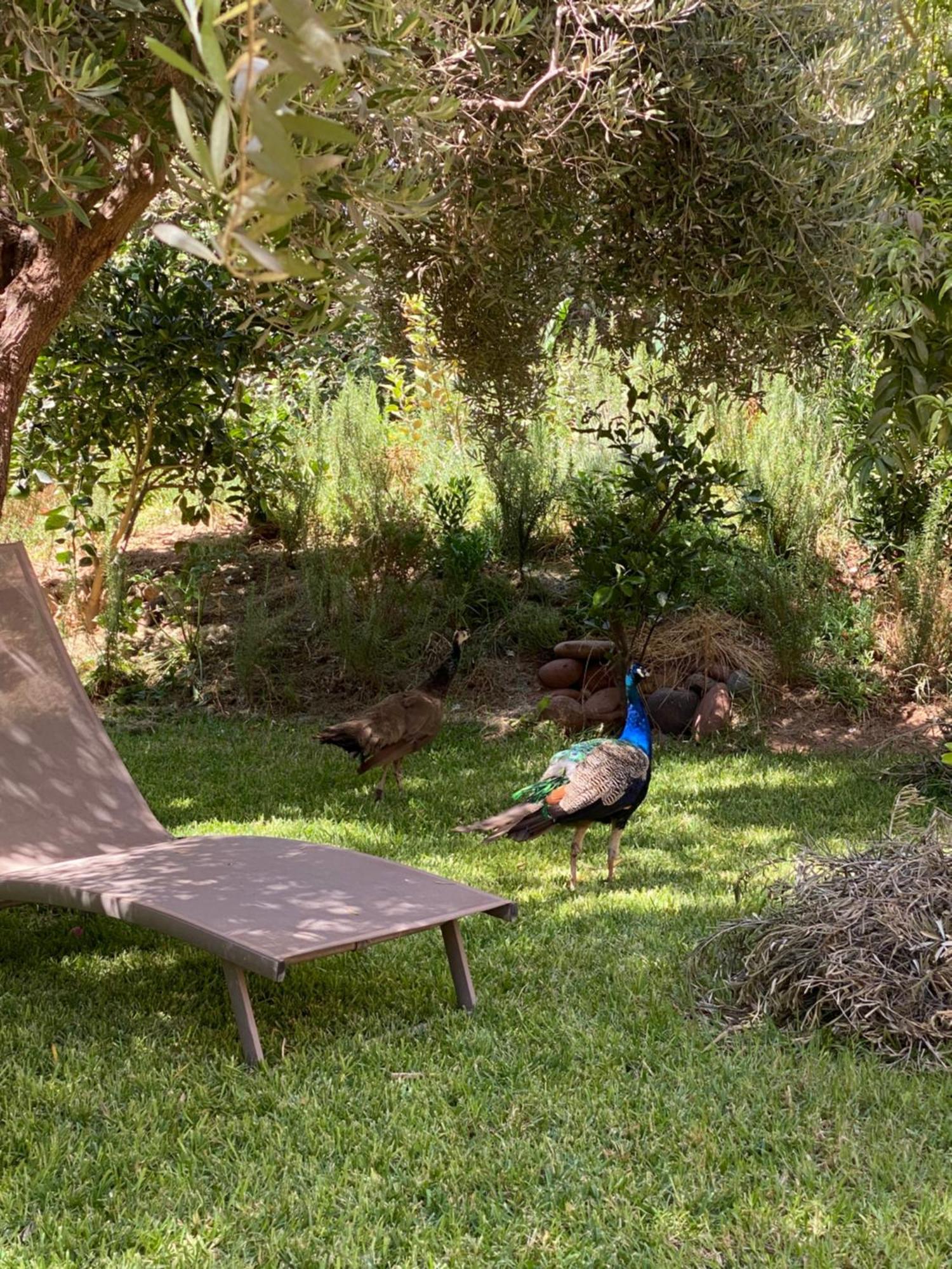Jardin Sakina - Chambre D'Hotes Oulad Moumene Kültér fotó