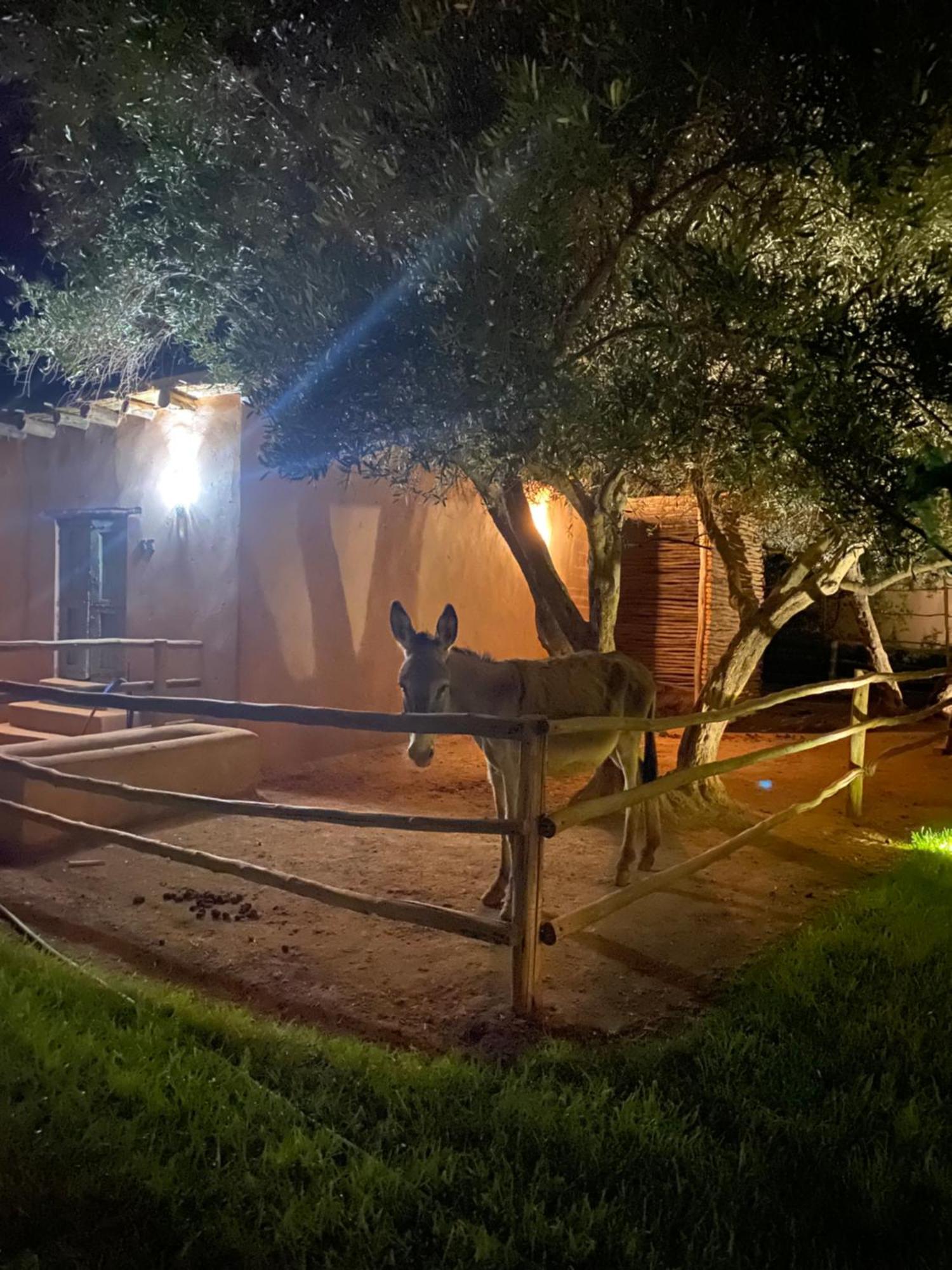Jardin Sakina - Chambre D'Hotes Oulad Moumene Kültér fotó